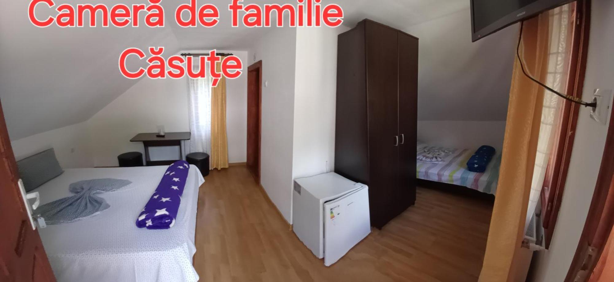 Guest house Pensiunea Stefania *
