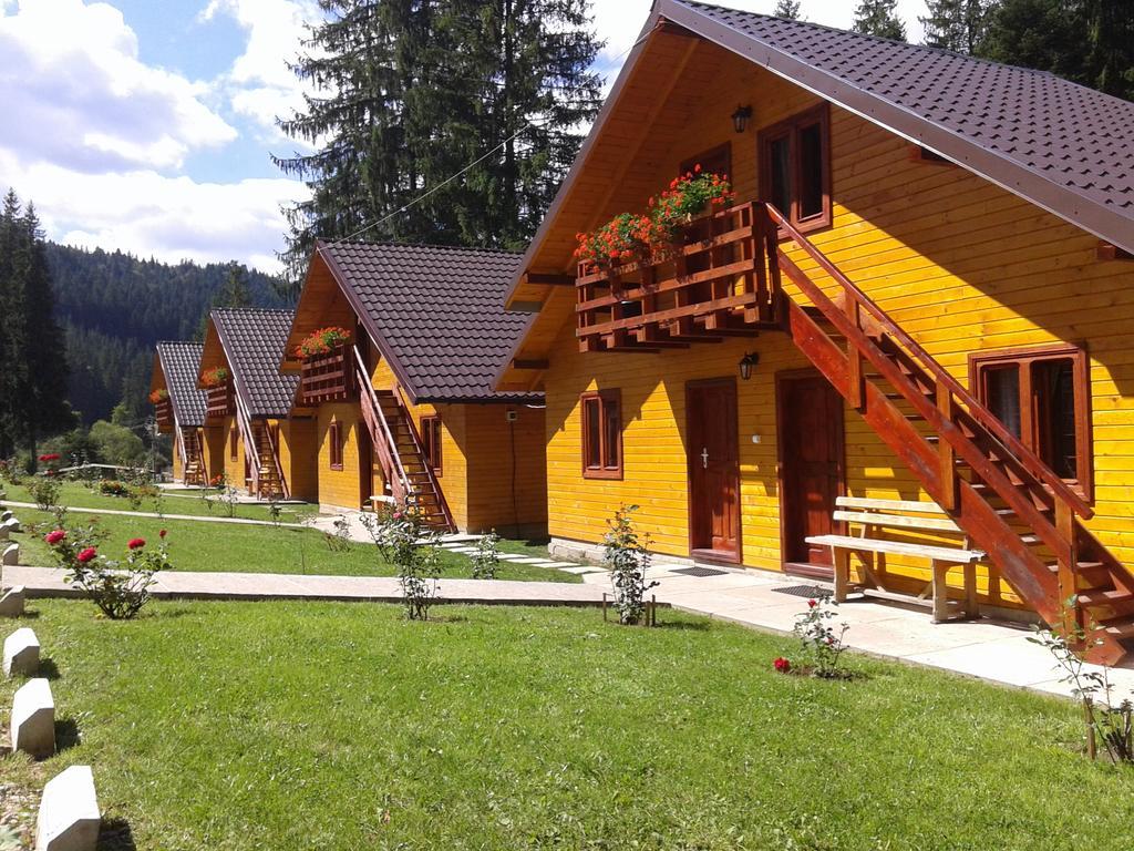 Pensiunea Stefania Guest house
